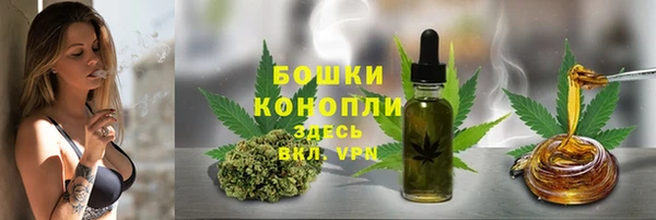 гашик Богородск