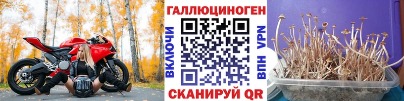 Галлюциногенные грибы MAGIC MUSHROOMS  Бокситогорск 